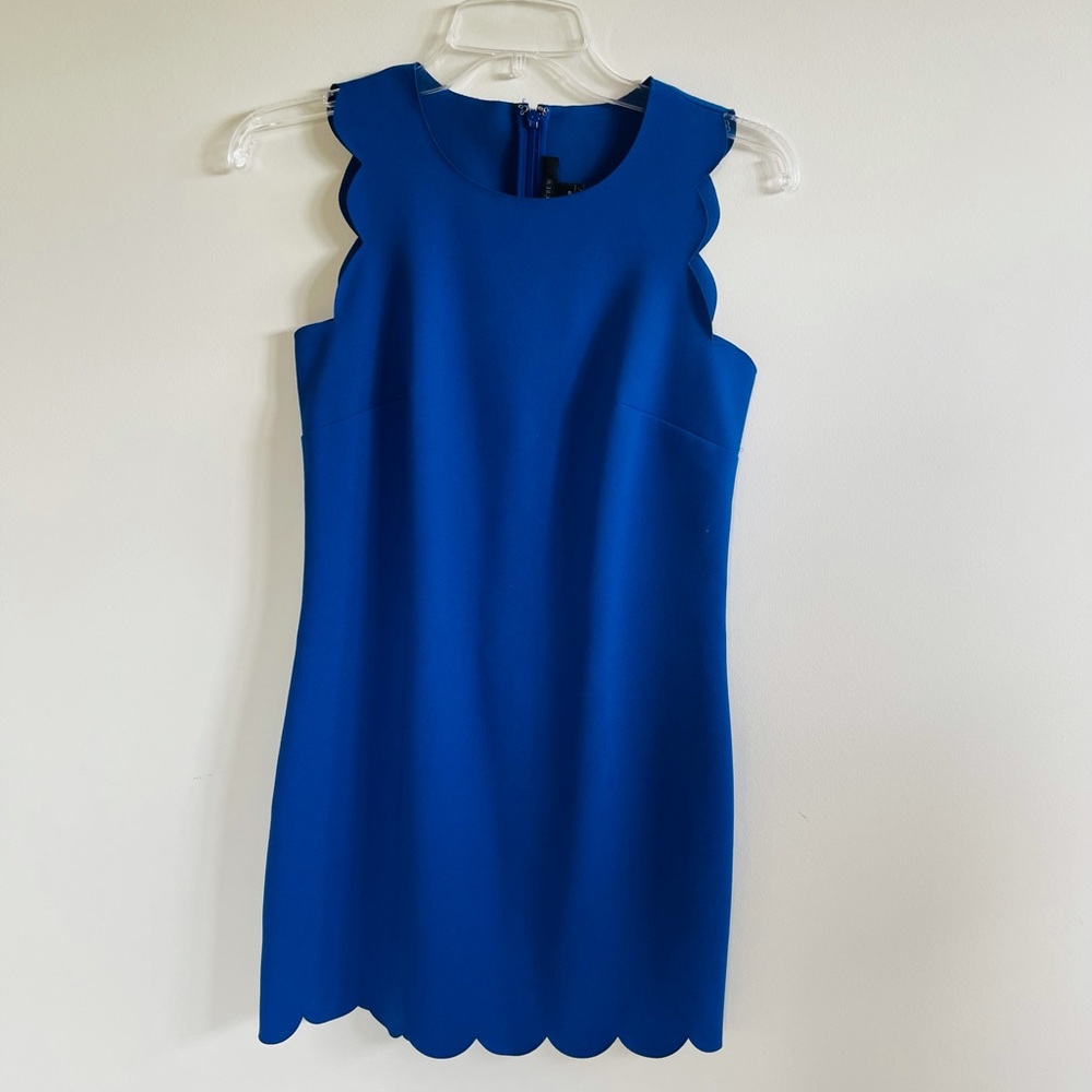 Gorgeous JCrew scalloped dress